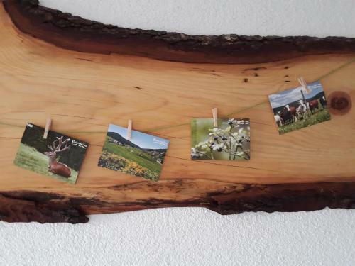 Hostal Isoldes Landhaus