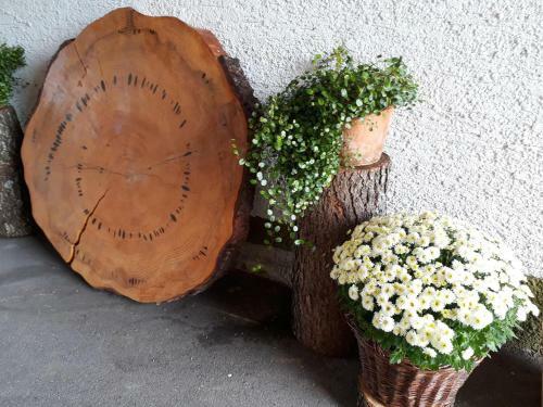 Hostal Isoldes Landhaus