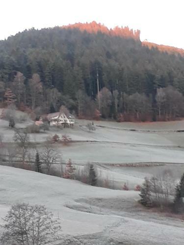 Hostal Isoldes Landhaus