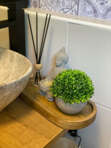 Panda Apartm�n Fr�d?tejn