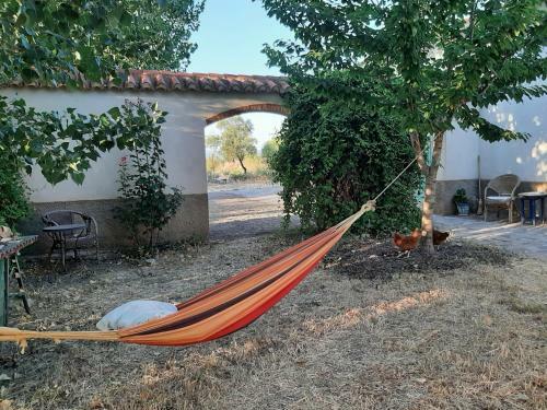 Agroturismo Eenpersoons Kamer Sierra Nevada Spanje