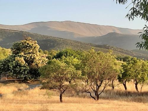 Agroturismo Kamer Met Stapelbed Sierra Nevada Spanje