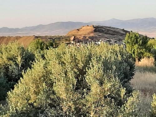 Agroturismo Kamer Met Stapelbed Sierra Nevada Spanje