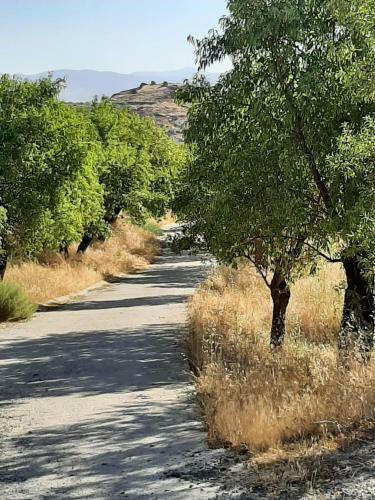 Agroturismo Kamer Met Stapelbed Sierra Nevada Spanje