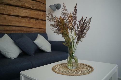 Aiaviisa Apartment