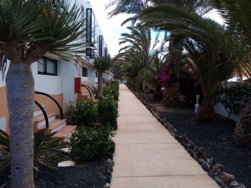 Apartmento Start Complex Amaya Fuerteventura