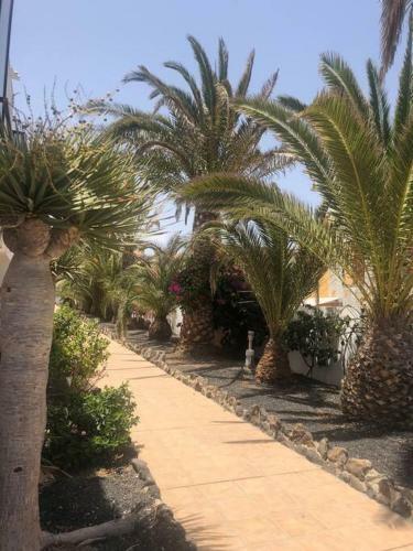 Apartmento Start Complex Amaya Fuerteventura