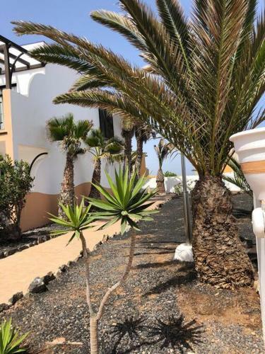 Apartmento Start Complex Amaya Fuerteventura