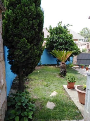 Villa Las Palmeras
