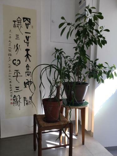 Bed & Breakfast La Cool Room