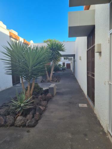 Frontera- Primavera Costa Del Silencio Olgas Apartment