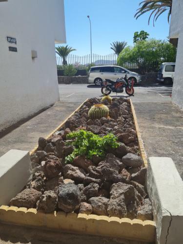 Frontera- Primavera Costa Del Silencio Olgas Apartment