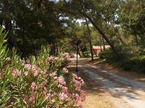 Villas Roque Blanc En Provence