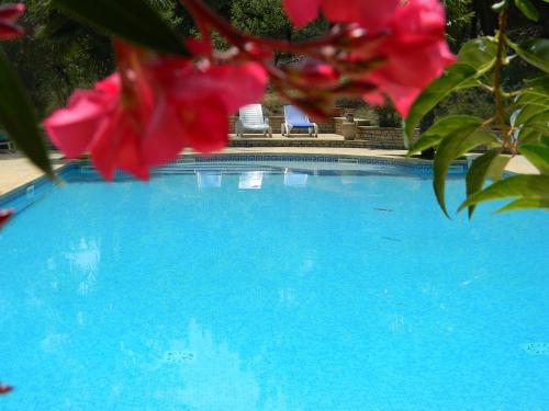 Villas Roque Blanc En Provence