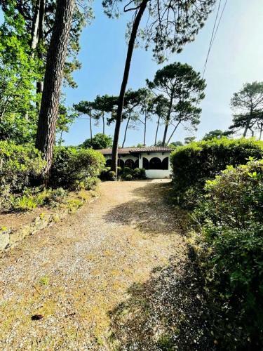 R�sidence -pyla Sur Mer - Maisons & Villas 124