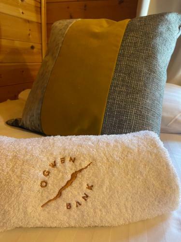 L10 - The Conwy Spa With Hot Tub