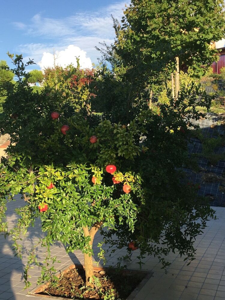 Hostal Casa Vacanza Villa Aurora