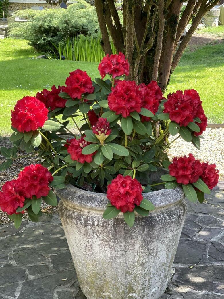 Bed & Breakfast La Collini�re
