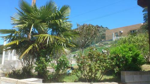 Apartamento A Muntagna R�sidence