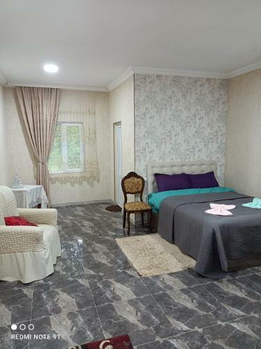 Zaza House
