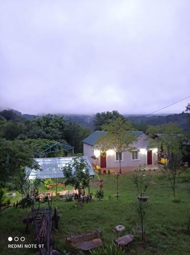 Zaza House