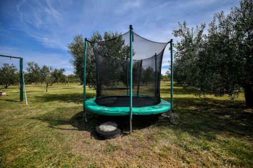 Country House Oasis
