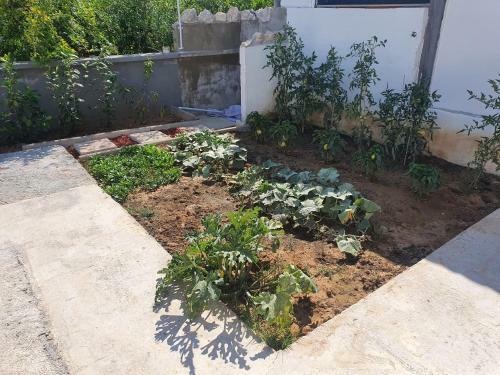Apartmani Katarina