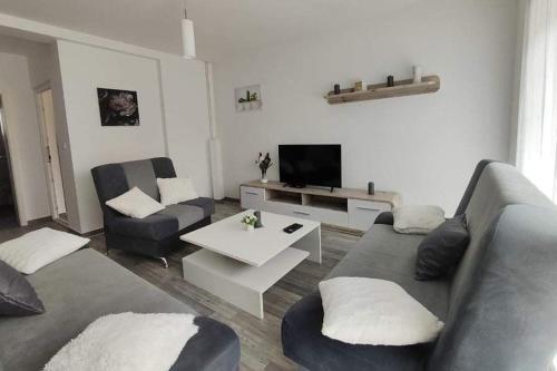 Apartment Msn