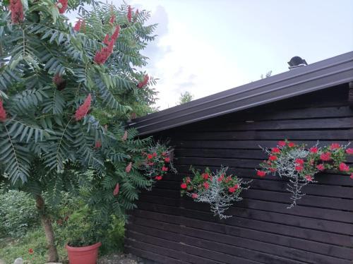 Apartment Msn