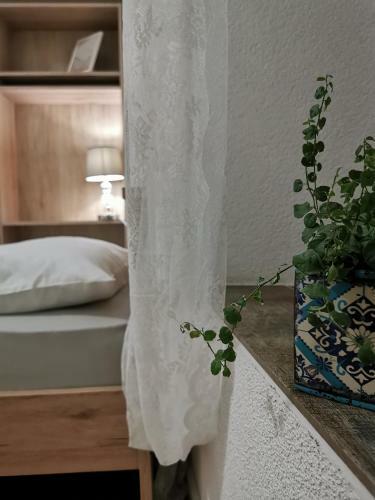 Apartmani Tripalo