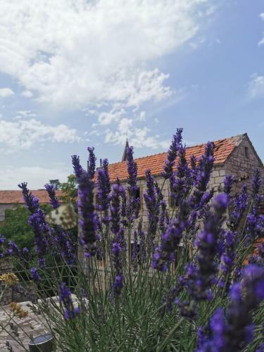 Apartmani Tripalo