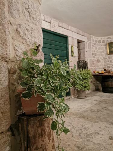 Apartmani Tripalo