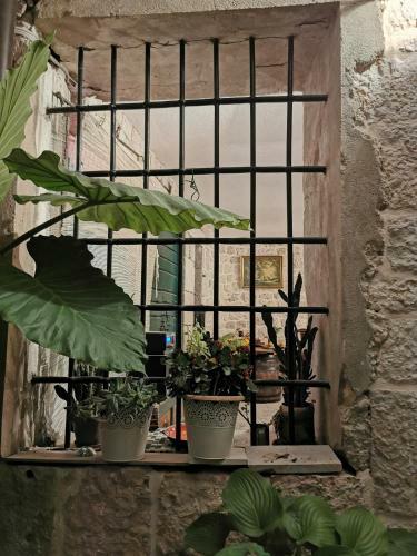 Apartmani Tripalo