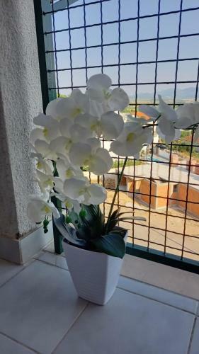 Apartamento Elena