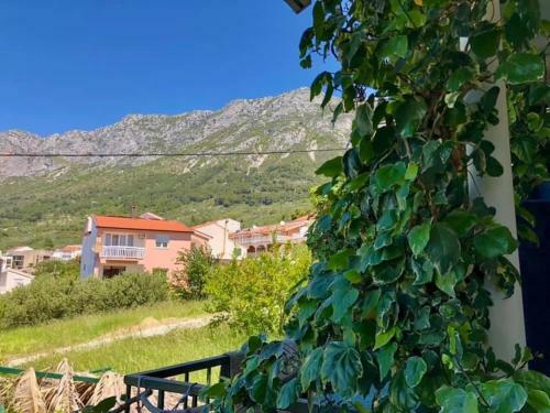 Apartmani Gradac