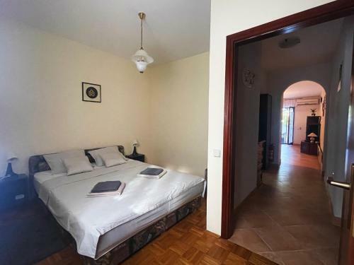 Apartment 01