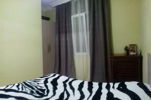 Apartment Madona