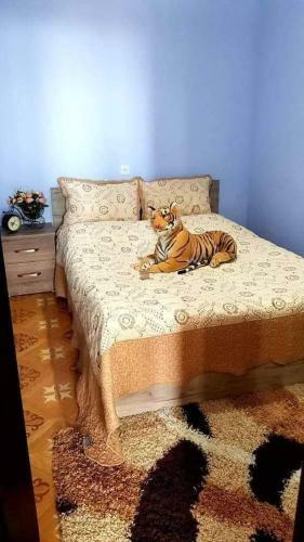 Apartment Gabu