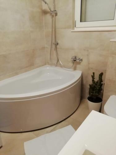 Apartamento Albatros