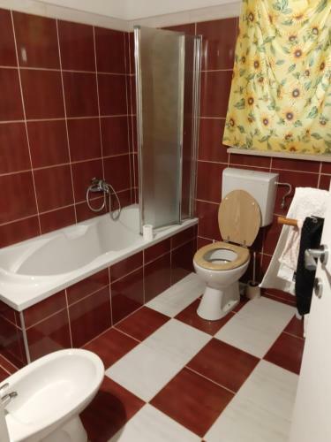 Apartment Brina