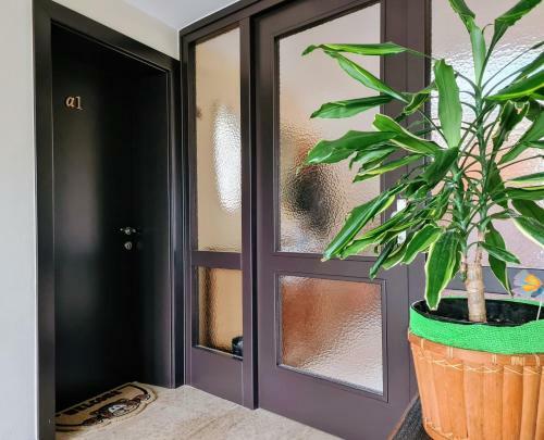 Apartamentos Happy Sparrow