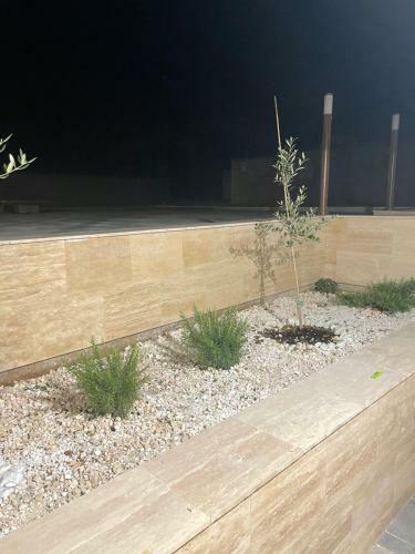 Vila Regina Apartman Rex