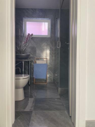Vila Regina Apartman Rex