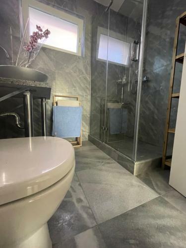 Vila Regina Apartman Rex