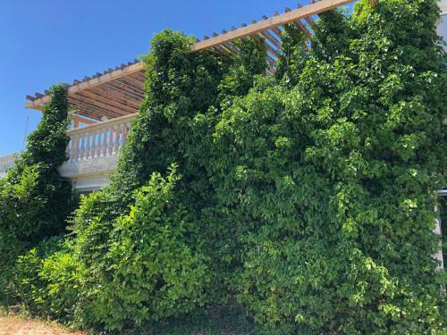 Apartamento La Vita Est Belle 2