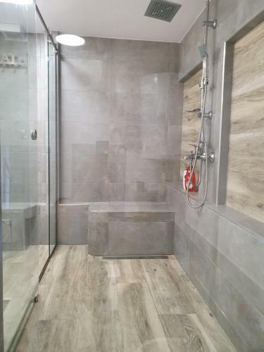Apartman Petit