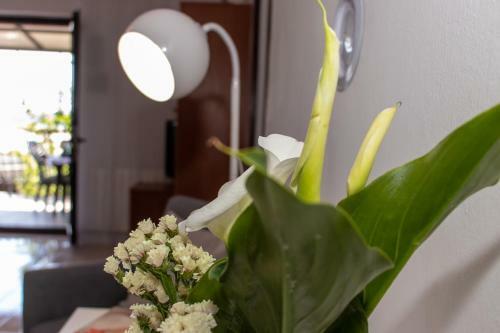 Apartman Turina M