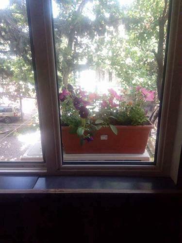 Apartamento Nash Dom