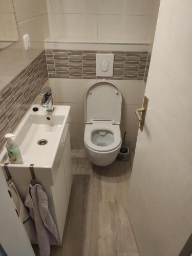 Apartamento Ku?a Salamuni? - Jelsa