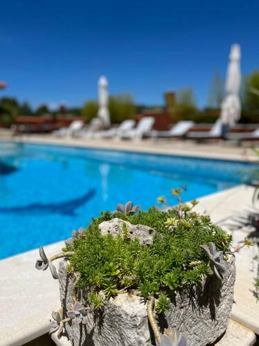 Apartment With Swimming Pool
